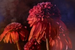 FRM-21490_AuroraHDR2019-edit_Luminar3-edit