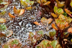 2019-10-02-11-38-10-CSmoothing4