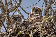 FRM_5401a