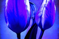 PandorasGarden-26