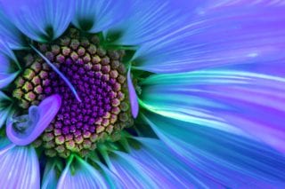 Fine Art Photography